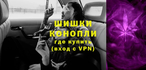 индика Белоозёрский
