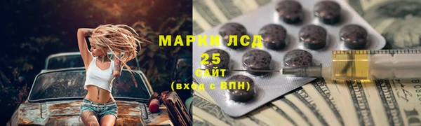 индика Белоозёрский