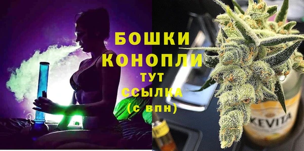 spice Покачи