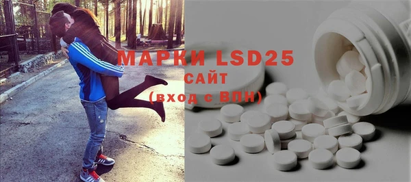 индика Белоозёрский