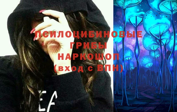 spice Покачи