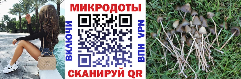 купить закладку  Тихорецк  Галлюциногенные грибы MAGIC MUSHROOMS 